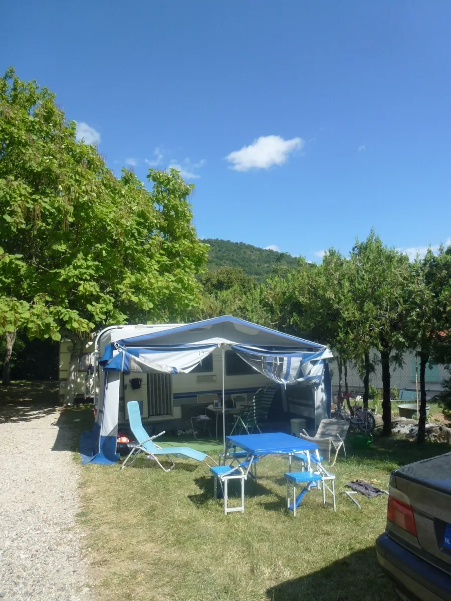 les-lavandes-darbres-ardeche-kj1ik