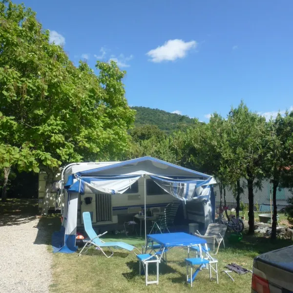 les-lavandes-darbres-ardeche-kj1ik
