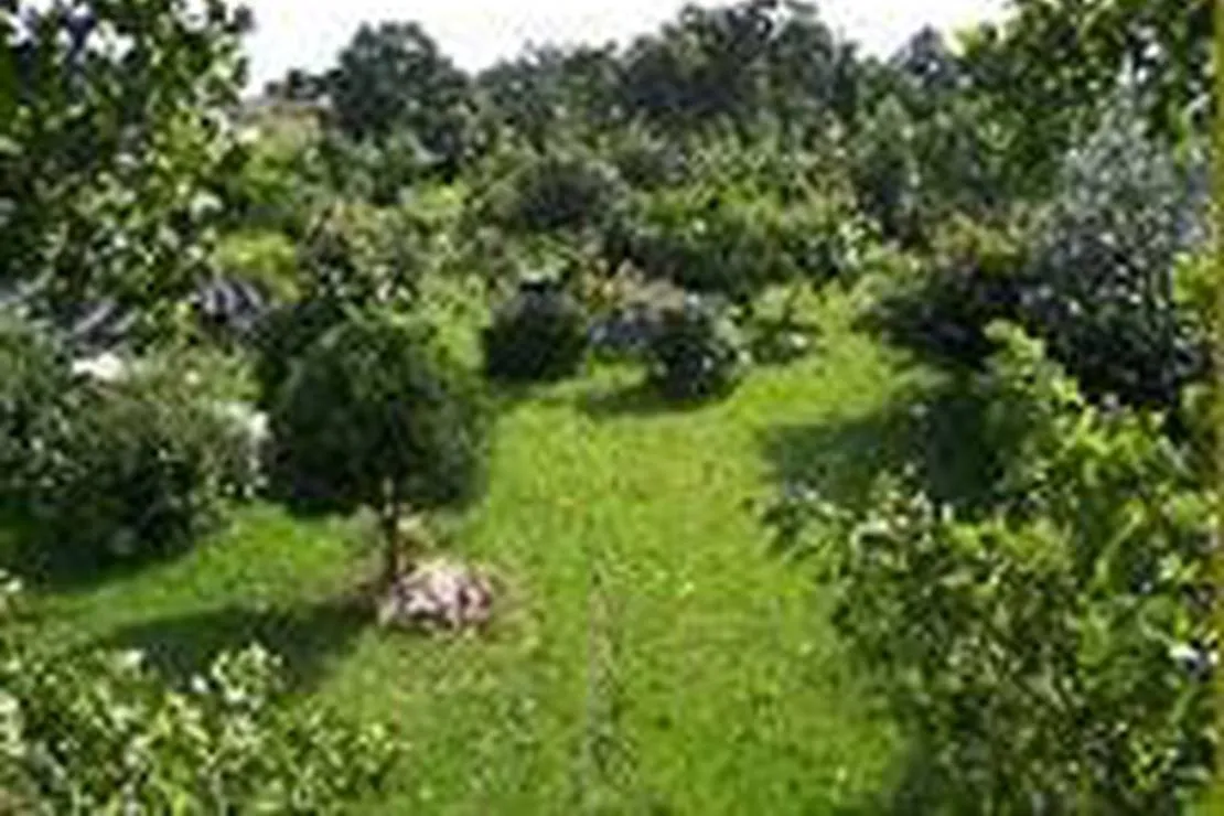 camping-a-la-ferme-la-safraniere-de-louest-le-ferre-3inxj