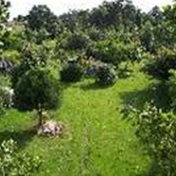 camping-a-la-ferme-la-safraniere-de-louest-le-ferre-3inxj
