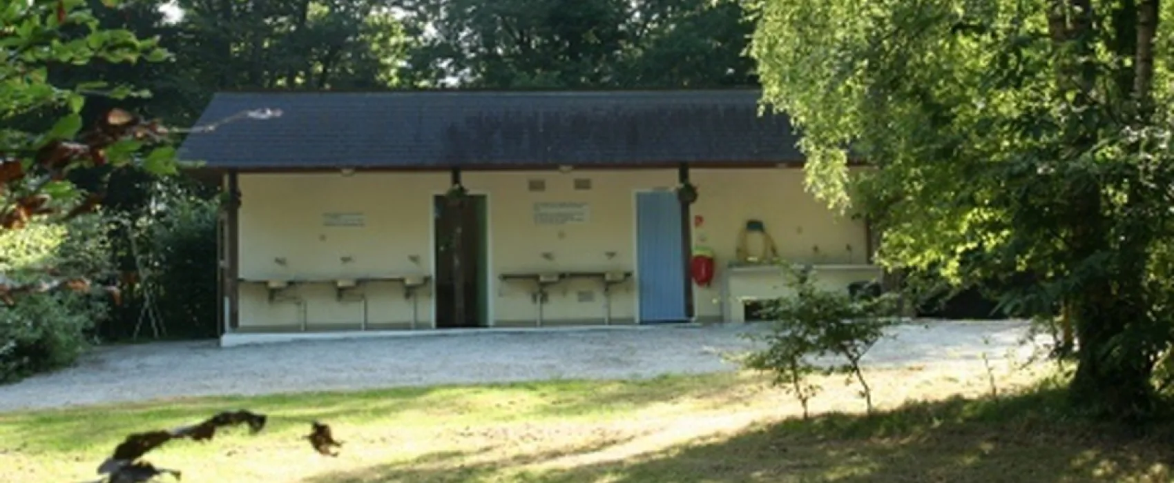 Bois des Écureuils