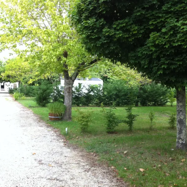 leau-vive-les-eglisottes-et-chalaures-gojfi