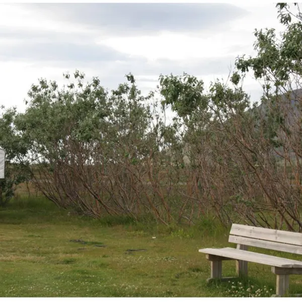 Hofsós campsite