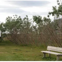 hofsos-campsite-hofsos-lvzej