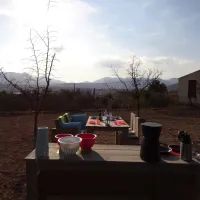 Saludos a la Vida