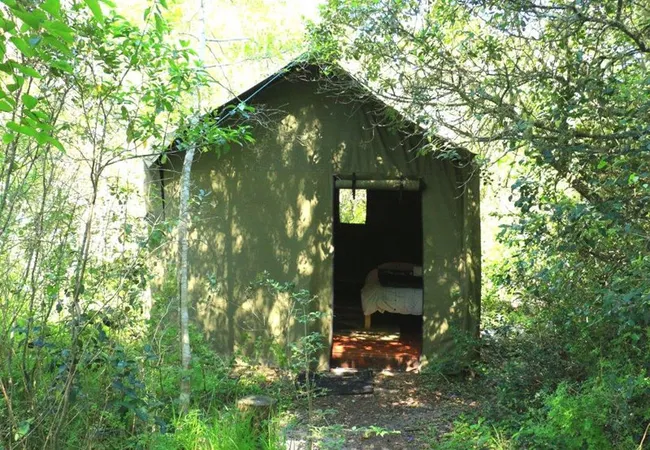 platbos-forest-cabins-gansbaai-1grhp