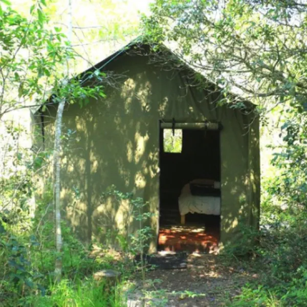 platbos-forest-cabins-gansbaai-1grhp