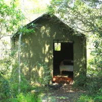 platbos-forest-cabins-gansbaai-1grhp