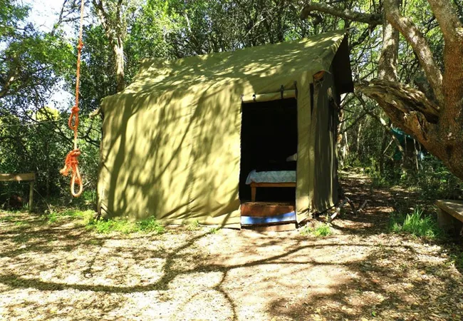platbos-forest-cabins-gansbaai-bmgaq