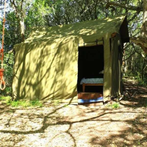 platbos-forest-cabins-gansbaai-bmgaq