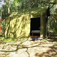 platbos-forest-cabins-gansbaai-bmgaq