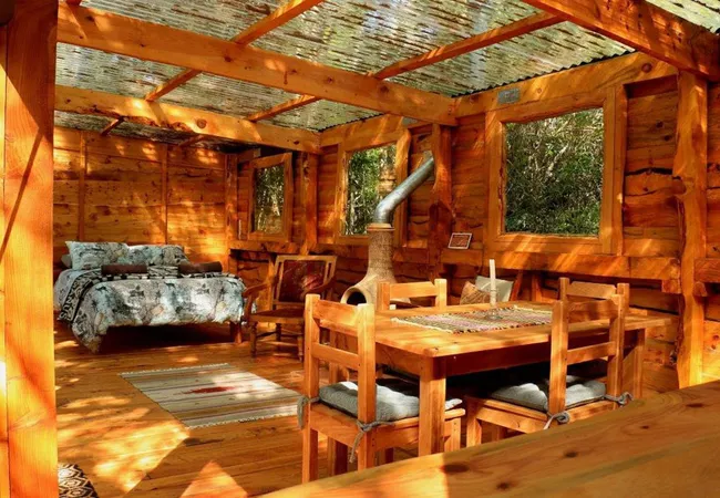platbos-forest-cabins-gansbaai-gaoy9
