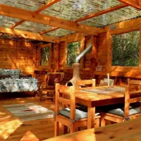 platbos-forest-cabins-gansbaai-gaoy9