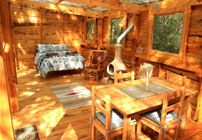 platbos-forest-cabins-gansbaai-mpwtu