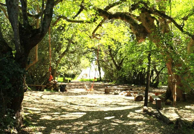 platbos-forest-cabins-gansbaai-nunhb