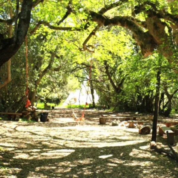 platbos-forest-cabins-gansbaai-nunhb