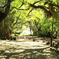 platbos-forest-cabins-gansbaai-nunhb