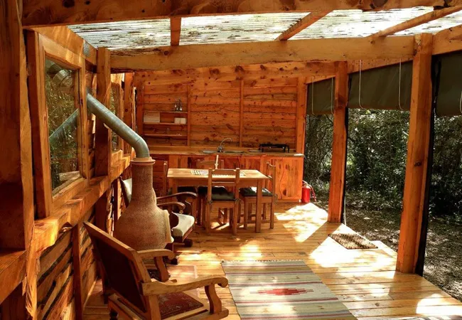 platbos-forest-cabins-gansbaai-tibjg