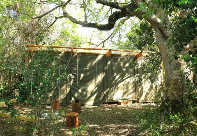 platbos-forest-cabins-gansbaai-tpj8g