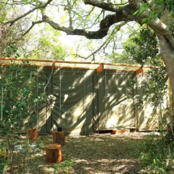 platbos-forest-cabins-gansbaai-tpj8g