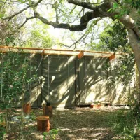 platbos-forest-cabins-gansbaai-tpj8g