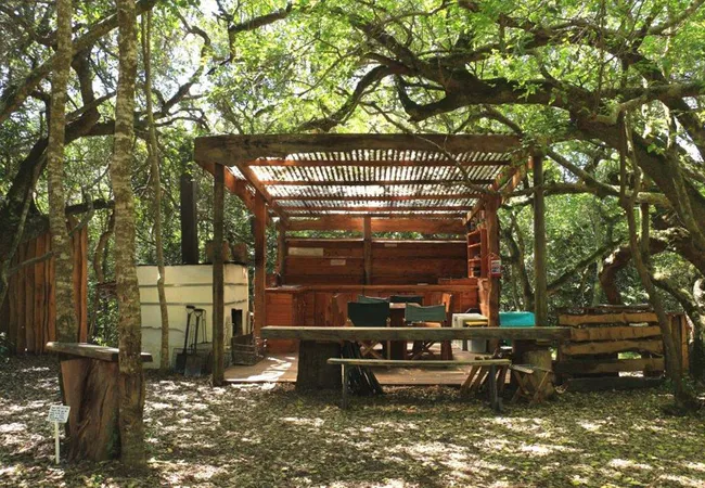 platbos-forest-cabins-gansbaai-u4e0q