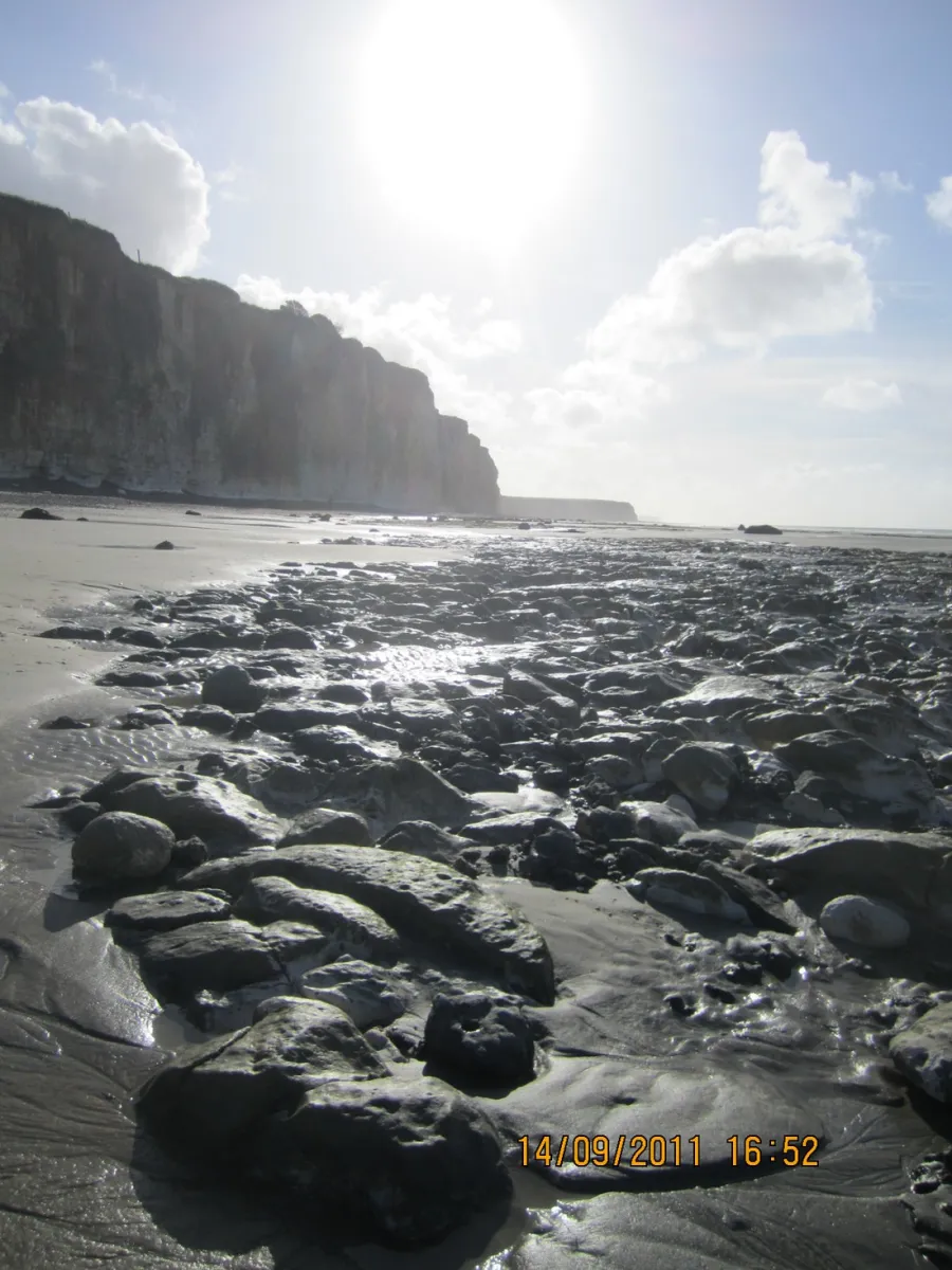 de-lile-percee-moelan-sur-mer-hja4y