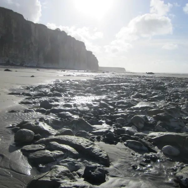de-lile-percee-moelan-sur-mer-hja4y