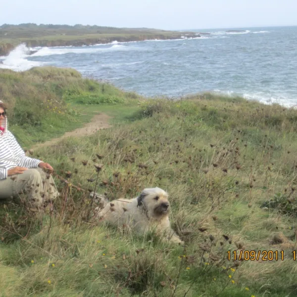 de-lile-percee-moelan-sur-mer-op10b