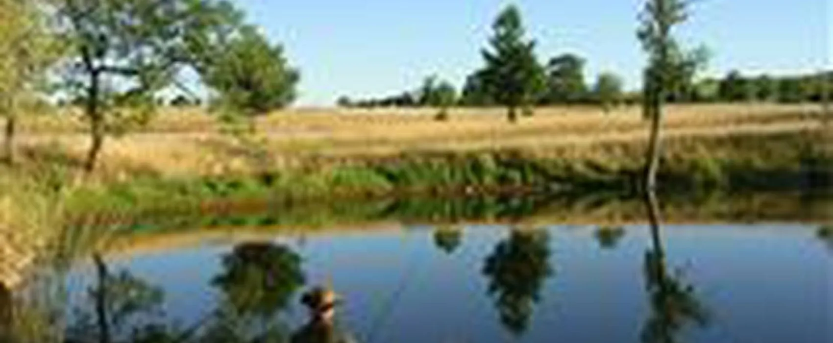 L'Etang Du Camp