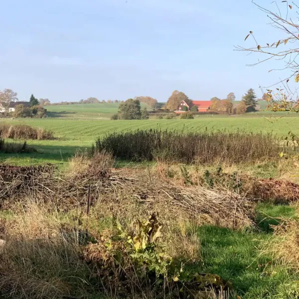 vinkelgaard-ringsted-gwgfx