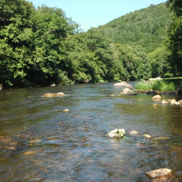 municipal-rapides-de-phades-montherme-oswpz