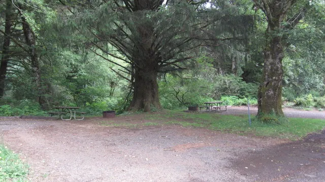 kilchis-river-campground-tillamook-c9ibn
