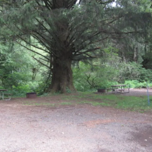 kilchis-river-campground-tillamook-c9ibn