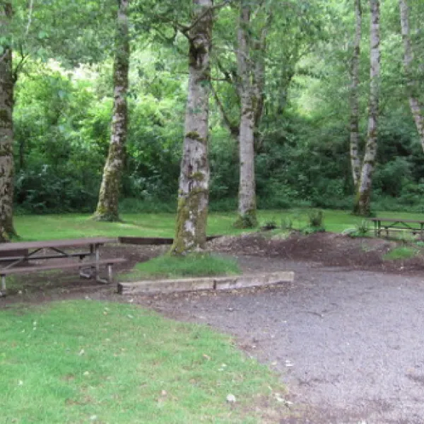 kilchis-river-campground-tillamook-cvxd7