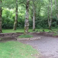 kilchis-river-campground-tillamook-cvxd7
