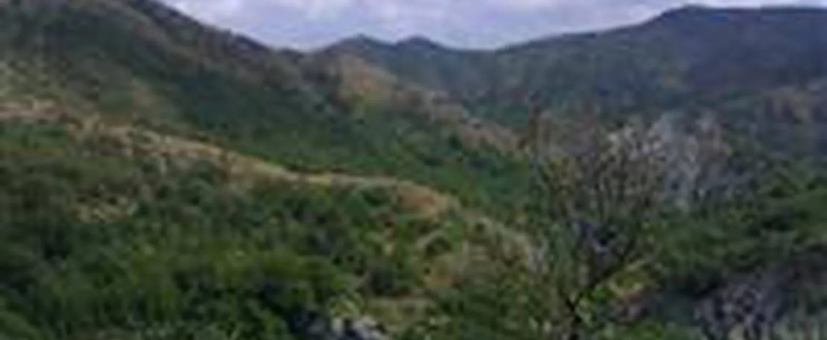 Camping Vallescura