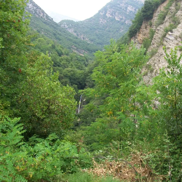 Domaine Sainte Madeleine