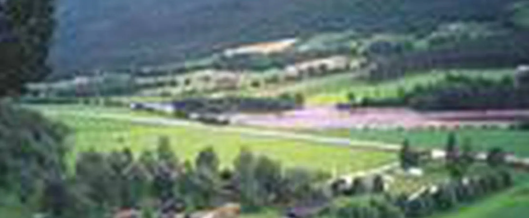 Bjørkhol Camping