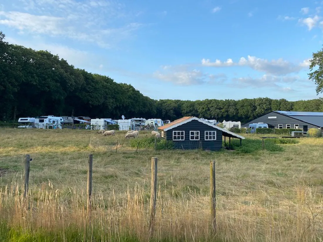 boerderijcamping-de-braamberg-mirns-ygrbk