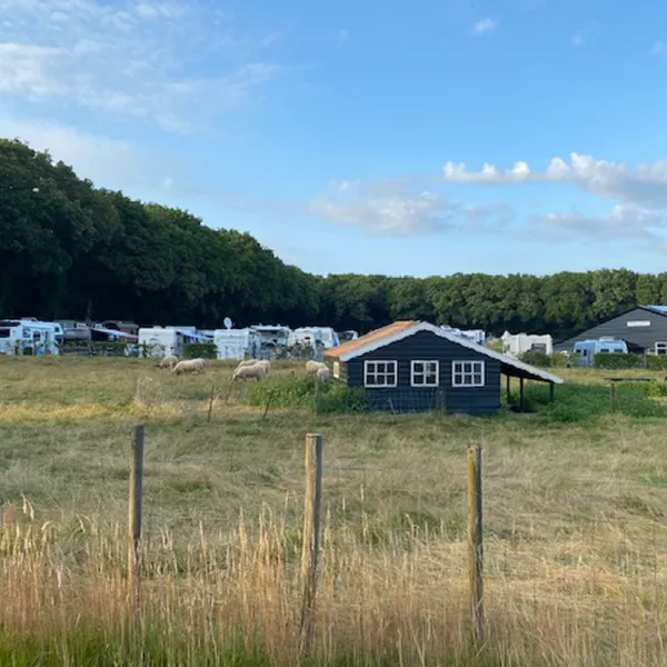 boerderijcamping-de-braamberg-mirns-ygrbk