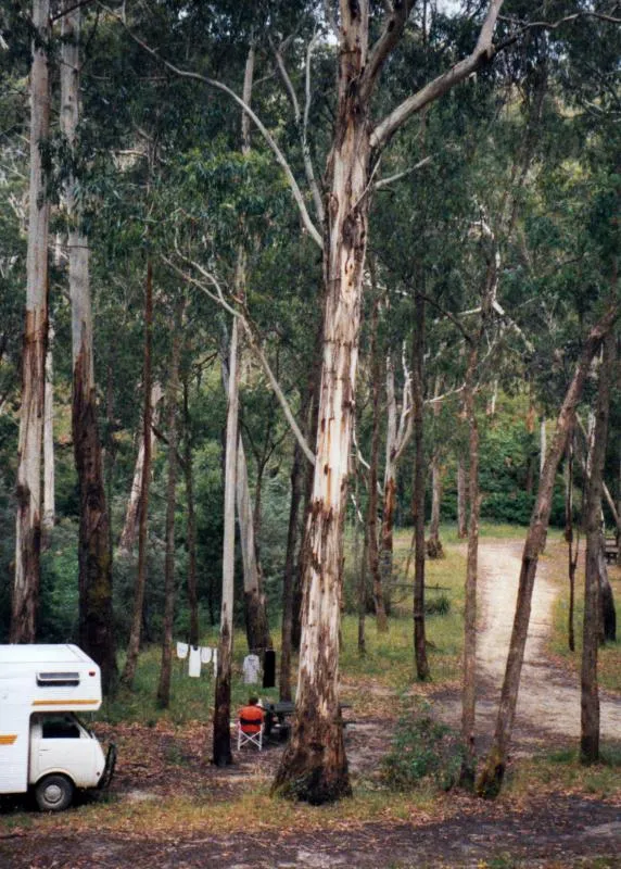 waterfalls-no-2-creek-campground-ktq43