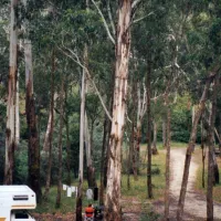 waterfalls-no-2-creek-campground-ktq43