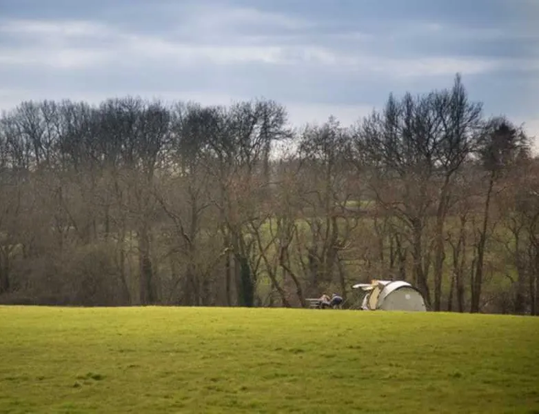 netherfield-place-farm-camping-netherfield-mgtre