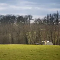 netherfield-place-farm-camping-netherfield-mgtre