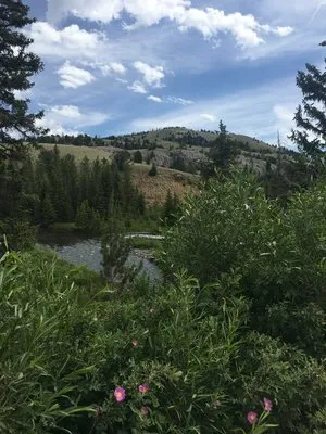 horse-creek-campground-dubois-8mcnw