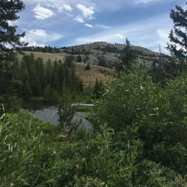 Horse Creek Campground