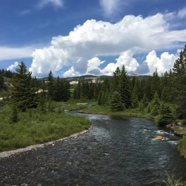 horse-creek-campground-dubois-bjgzw