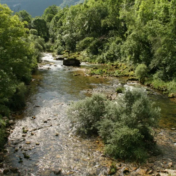 municipal-les-millieres-choranche-8ifxb