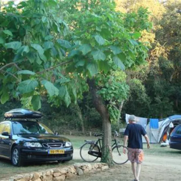 begur-begur-dt07r